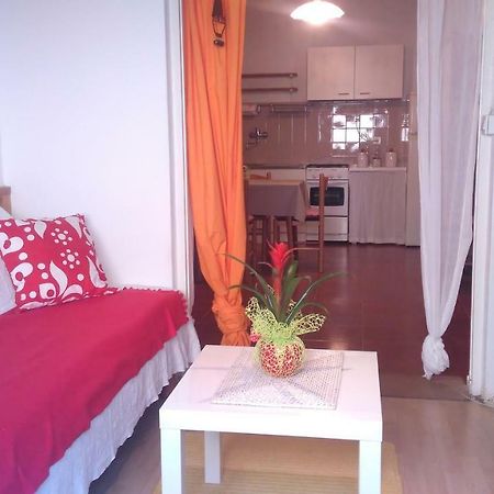 Apartment Bela Novigrad  Exterior photo