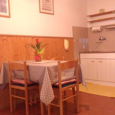 Apartment Bela Novigrad  Exterior photo