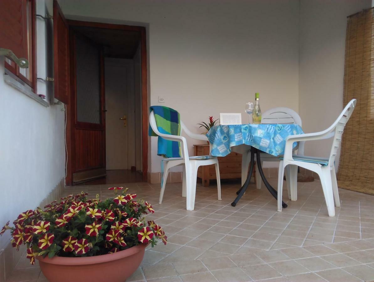 Apartment Bela Novigrad  Exterior photo